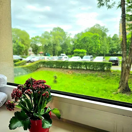 In With Pee - / Katowice Location Homestay *