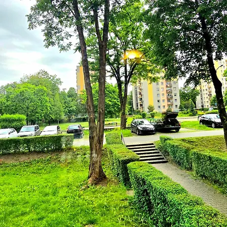 In With Pee - / Katowice Location *